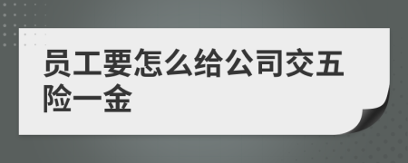 員工要怎么給公司交五險一金