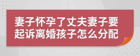 妻子懷孕了丈夫妻子要起訴離婚孩子怎么分配