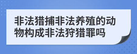 非法獵捕非法養(yǎng)殖的動物構(gòu)成非法狩獵罪嗎