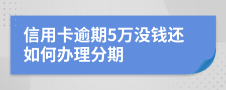 信用卡逾期5萬沒錢還如何辦理分期