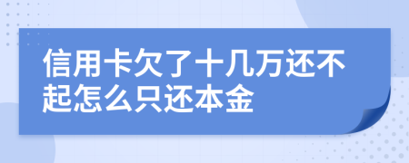 信用卡欠了十幾萬還不起怎么只還本金