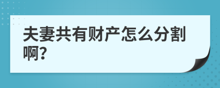 夫妻共有財(cái)產(chǎn)怎么分割啊？