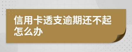 信用卡透支逾期還不起怎么辦