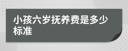 小孩六歲撫養(yǎng)費是多少標準