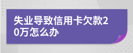 失業(yè)導(dǎo)致信用卡欠款20萬怎么辦