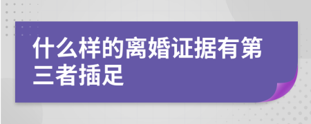 什么樣的離婚證據(jù)有第三者插足