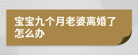 寶寶九個(gè)月老婆離婚了怎么辦