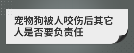 寵物狗被人咬傷后其它人是否要負(fù)責(zé)任
