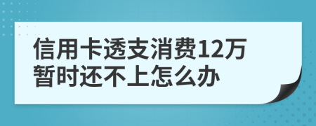 信用卡透支消費(fèi)12萬(wàn)暫時(shí)還不上怎么辦