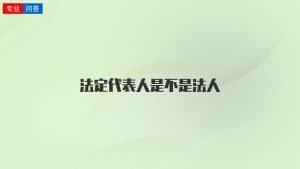 法定代表人是不是法人
