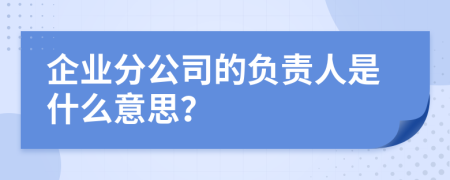 企業(yè)分公司的負責(zé)人是什么意思？