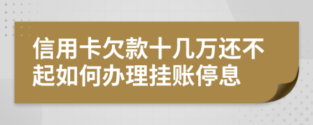 信用卡欠款十幾萬還不起如何辦理掛賬停息