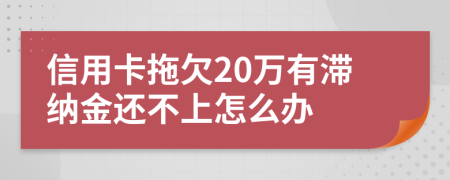信用卡拖欠20萬有滯納金還不上怎么辦