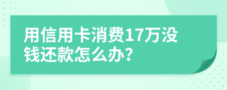 用信用卡消費(fèi)17萬(wàn)沒(méi)錢還款怎么辦？