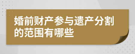 婚前財(cái)產(chǎn)參與遺產(chǎn)分割的范圍有哪些