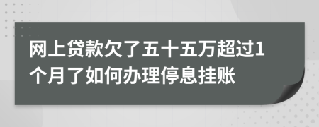 網(wǎng)上貸款欠了五十五萬(wàn)超過(guò)1個(gè)月了如何辦理停息掛賬