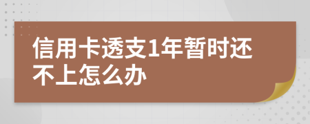 信用卡透支1年暫時(shí)還不上怎么辦