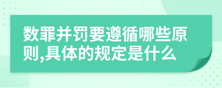 數罪并罰要遵循哪些原則,具體的規(guī)定是什么