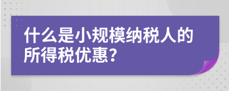 什么是小規(guī)模納稅人的所得稅優(yōu)惠？