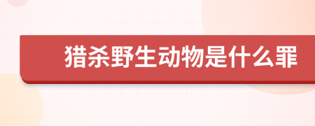 獵殺野生動(dòng)物是什么罪