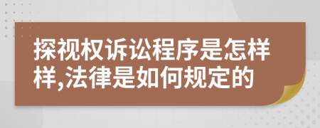 探視權訴訟程序是怎樣樣,法律是如何規(guī)定的