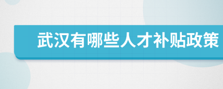 武漢有哪些人才補(bǔ)貼政策