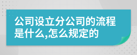 公司設(shè)立分公司的流程是什么,怎么規(guī)定的