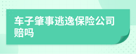 車子肇事逃逸保險公司賠嗎