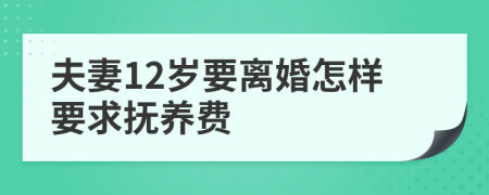 夫妻12歲要離婚怎樣要求撫養(yǎng)費(fèi)