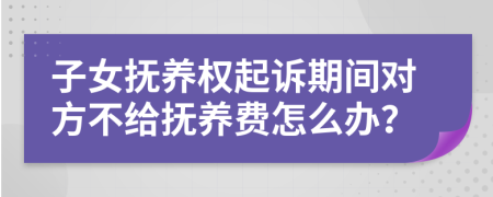 子女撫養(yǎng)權(quán)起訴期間對(duì)方不給撫養(yǎng)費(fèi)怎么辦？