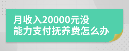 月收入20000元沒(méi)能力支付撫養(yǎng)費(fèi)怎么辦