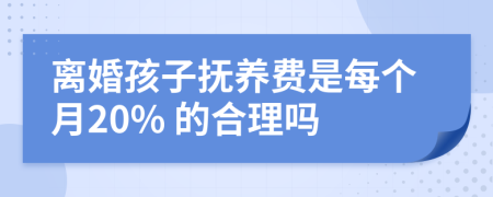 離婚孩子撫養(yǎng)費是每個月20% 的合理嗎