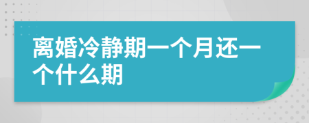 離婚冷靜期一個月還一個什么期