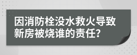 因消防栓沒(méi)水救火導(dǎo)致新房被燒誰(shuí)的責(zé)任？