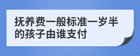 撫養(yǎng)費(fèi)一般標(biāo)準(zhǔn)一歲半的孩子由誰(shuí)支付