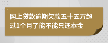 網(wǎng)上貸款逾期欠款五十五萬超過1個月了能不能只還本金