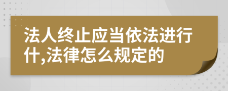 法人終止應(yīng)當(dāng)依法進(jìn)行什,法律怎么規(guī)定的