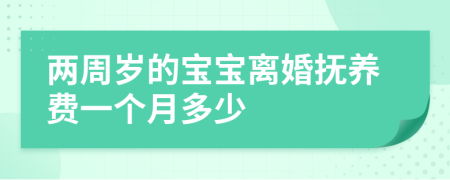 兩周歲的寶寶離婚撫養(yǎng)費(fèi)一個(gè)月多少