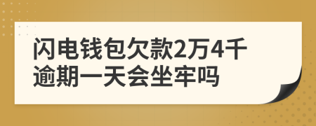 閃電錢(qián)包欠款2萬(wàn)4千逾期一天會(huì)坐牢嗎