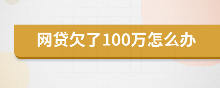 網(wǎng)貸欠了100萬(wàn)怎么辦