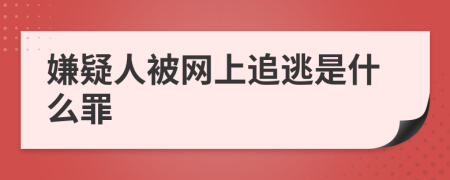 嫌疑人被網(wǎng)上追逃是什么罪