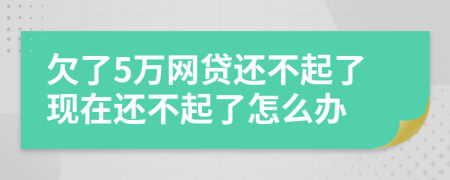 欠了5萬(wàn)網(wǎng)貸還不起了現(xiàn)在還不起了怎么辦