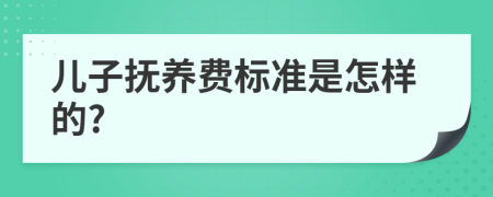 兒子撫養(yǎng)費標準是怎樣的?