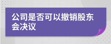 公司是否可以撤銷股東會(huì)決議