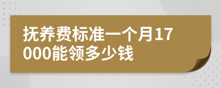 撫養(yǎng)費標準一個月17000能領多少錢
