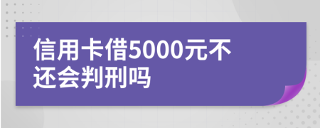 信用卡借5000元不還會判刑嗎