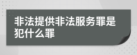 非法提供非法服務(wù)罪是犯什么罪