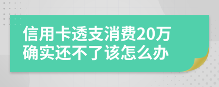 信用卡透支消費(fèi)20萬(wàn)確實(shí)還不了該怎么辦