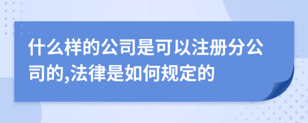 什么樣的公司是可以注冊分公司的,法律是如何規(guī)定的