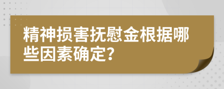 精神損害撫慰金根據(jù)哪些因素確定？